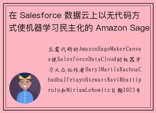在 Salesforce 数据云上以无代码方式使机器学习民主化的 Amazon SageMaker 